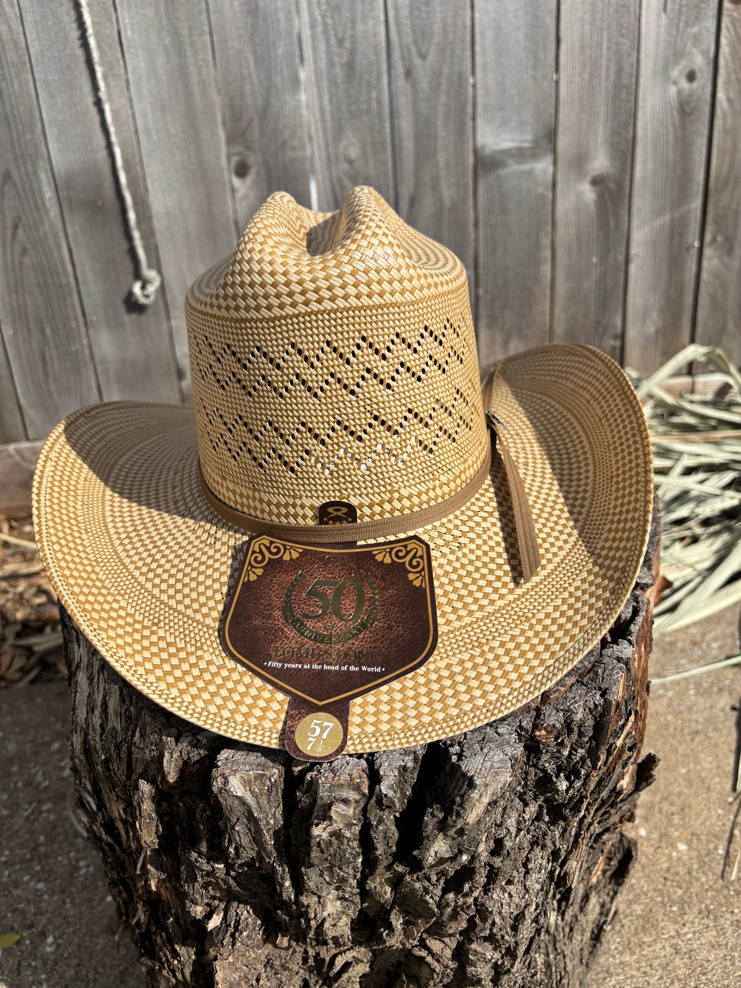 Sombrero Tombstone El Viejon Cafe 30x