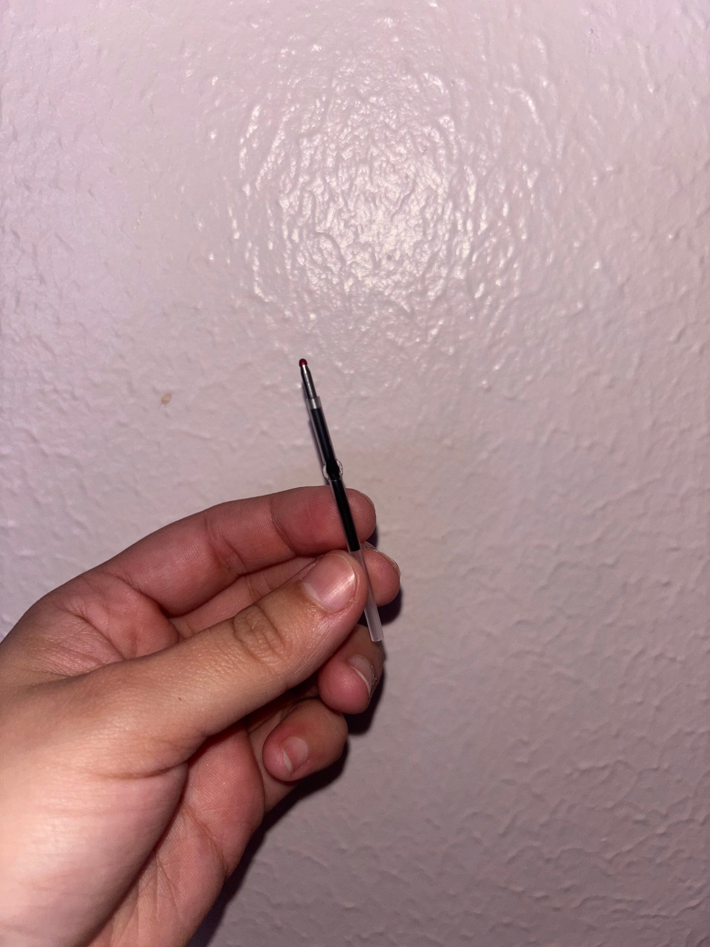 Pluma de Concha Cafe y Morado