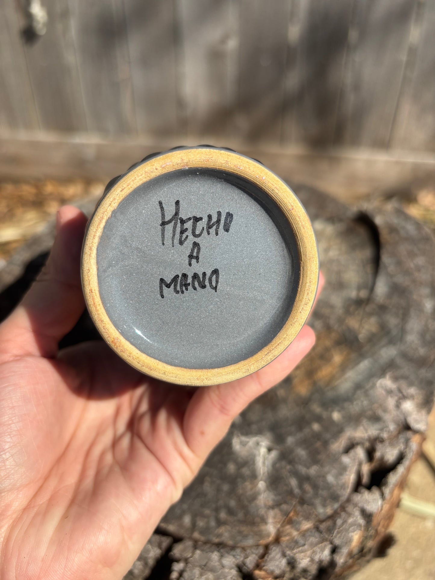 Termos de Talavera Poblana