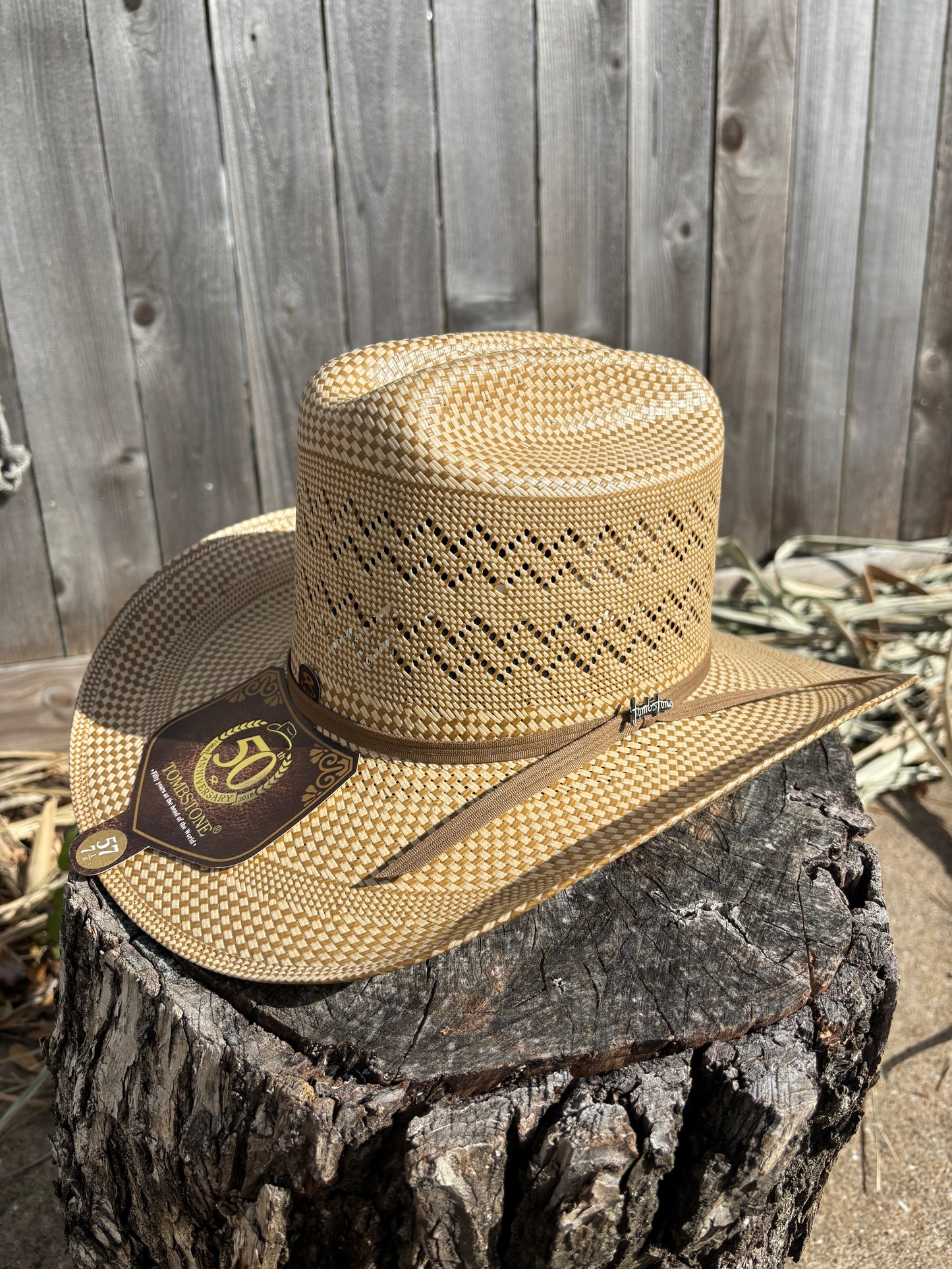Sombrero Tombstone El Viejon Cafe 30x